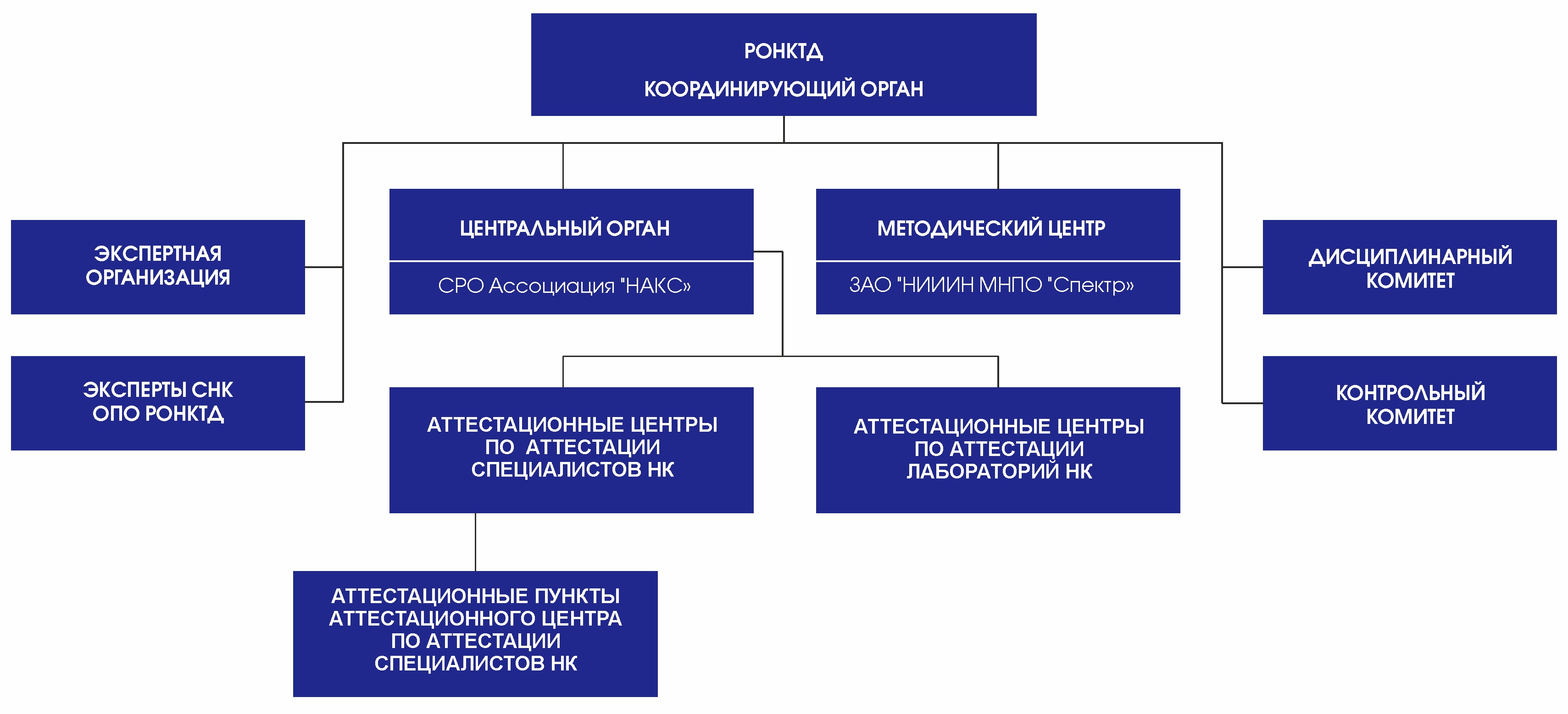 Персональный состав руководящих органов некоммерческой организации